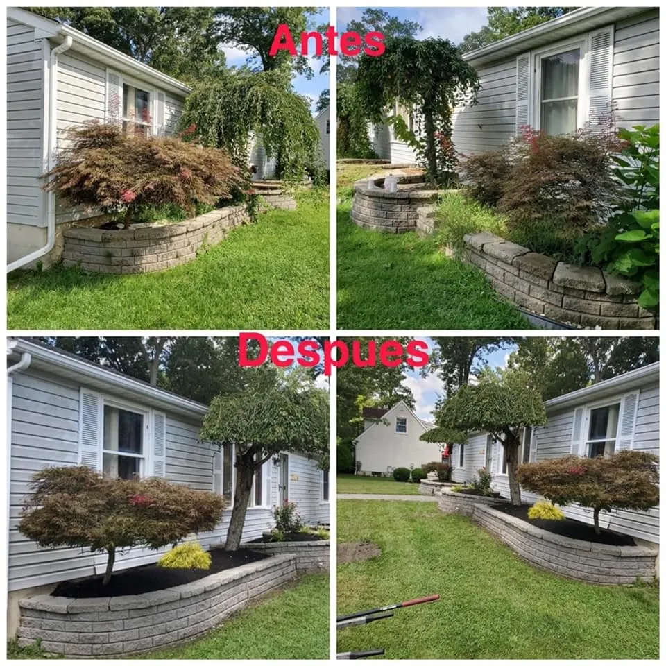 Professional landscape installation with custom design across Vineland, NJ - A & L Landscaping and Tree Services
