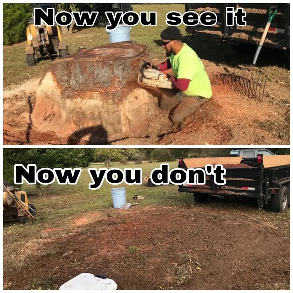 Trusted landscape installation in Vineland, NJ by A & L Landscaping and Tree Services