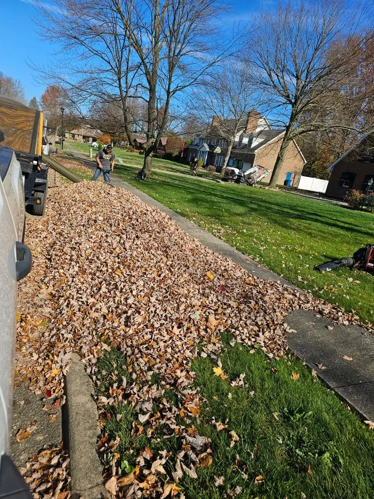 Custom lawn care service experts serving Niles, OH - A & L Lawn Care