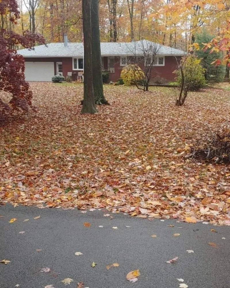 Expert yard cleanup service for outdoor upgrades across Niles, OH - A & L Lawn Care