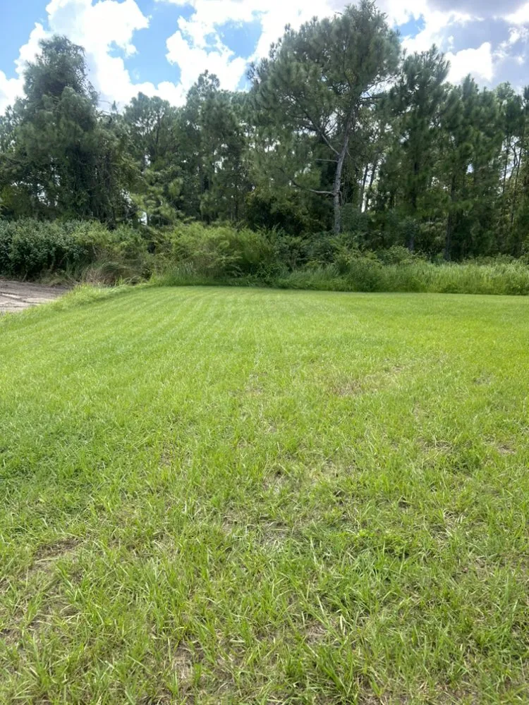 Reliable lawn care service for outdoor upgrades across Poinciana, FL - A & L Lawn Care Services