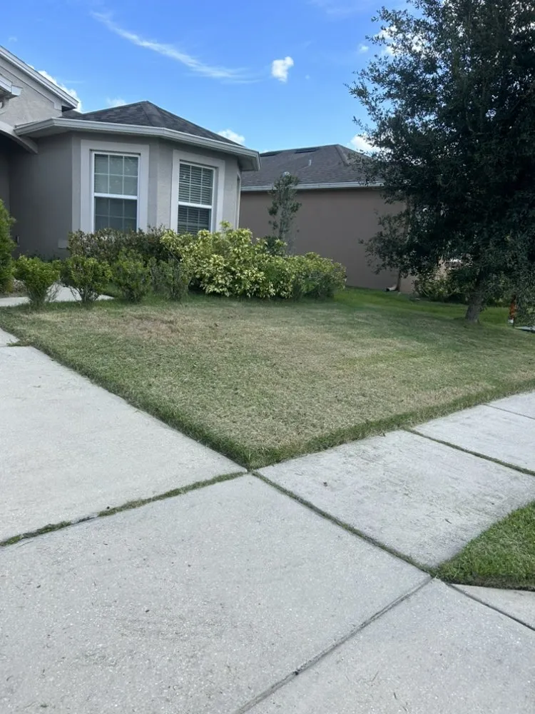 Affordable landscape installation for outdoor upgrades across Poinciana, FL - A & L Lawn Care Services