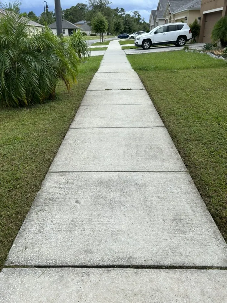 Trusted yard cleanup service for beautiful yards in Poinciana, FL by A & L Lawn Care Services