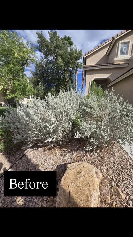 Affordable landscape design in North Las Vegas, NV by A & L Lawn Services