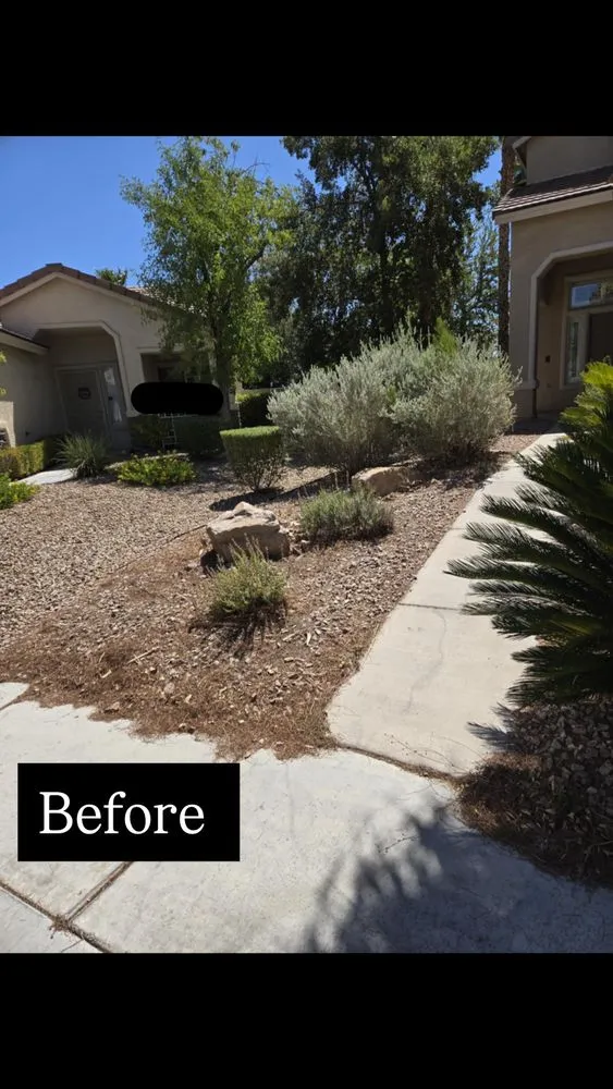 Expert yard cleanup service in North Las Vegas, NV - A & L Lawn Services