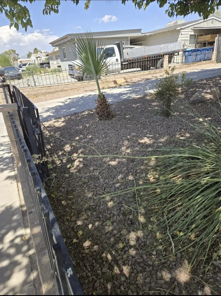 Affordable landscape design for year-round maintenance in North Las Vegas, NV by A & L Lawn Services