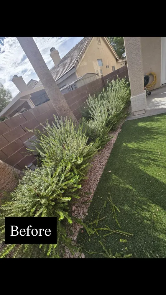 Reliable landscape design in North Las Vegas, NV by A & L Lawn Services