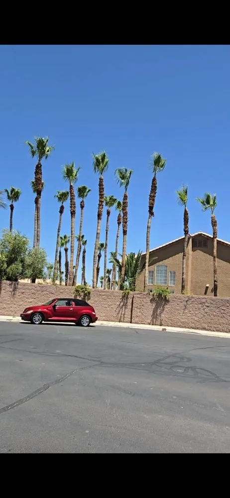 Local yard maintenance in North Las Vegas, NV - A & L Lawn Services