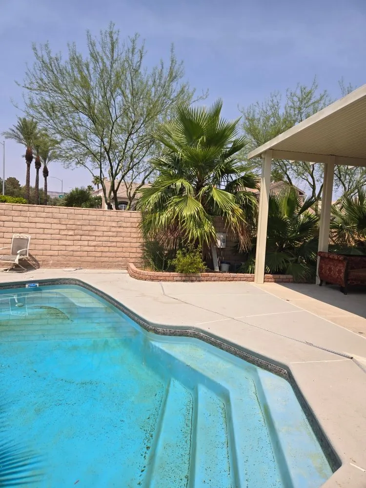 Professional yard cleanup service for beautiful yards in North Las Vegas, NV by A & L Lawn Services