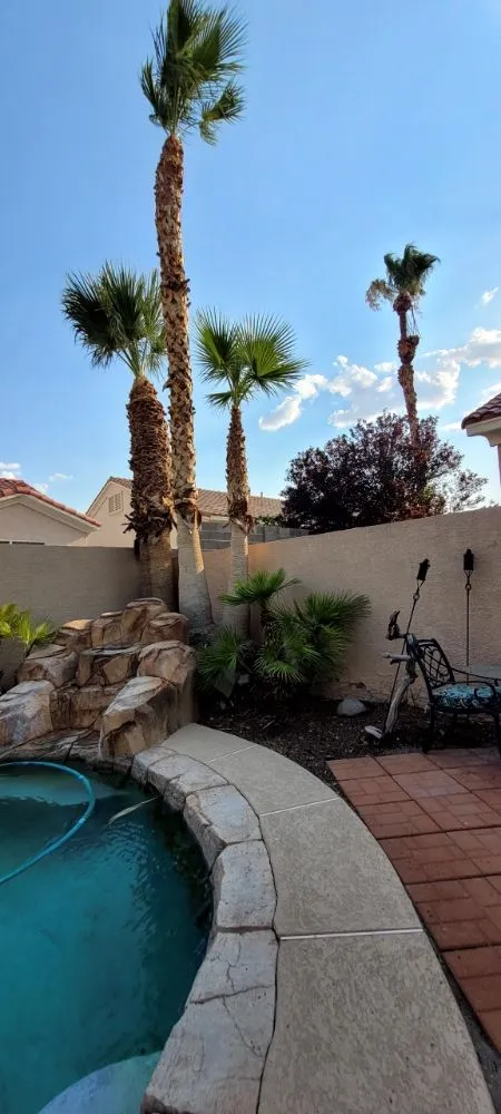 Custom landscaping services in North Las Vegas, NV - A & L Lawn Services