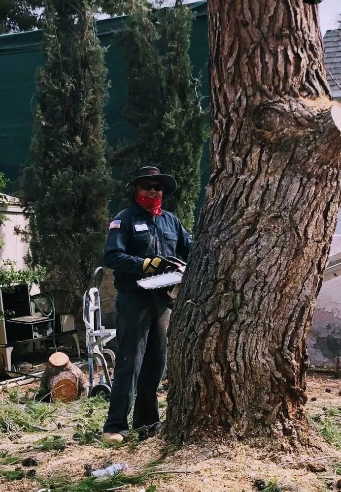 Custom outdoor landscaping in North Las Vegas, NV - A & L Lawn Services