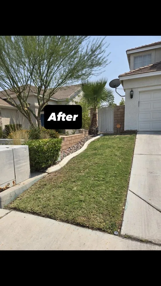 Professional lawn mowing service experts serving North Las Vegas, NV - A & L Lawn Services