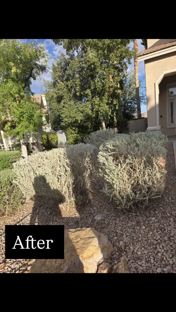 Local landscaping services in North Las Vegas, NV by A & L Lawn Services