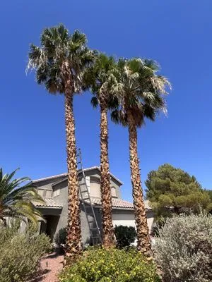 A & L Lawn Services Logo