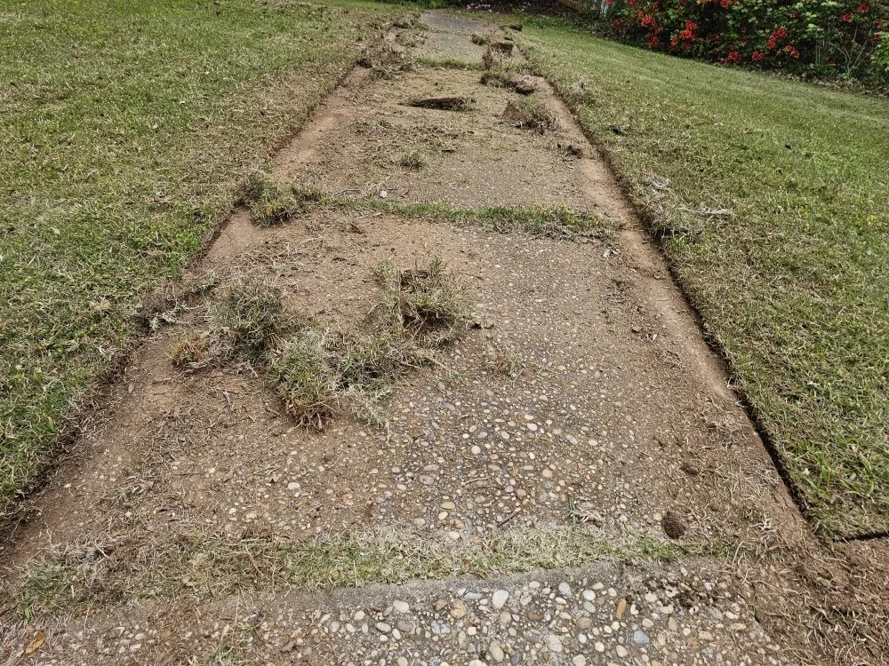 Top-rated landscaping services in Tuscaloosa, AL - A & L Lawncare