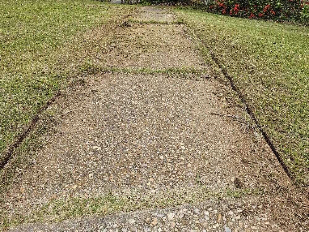 Top-rated yard maintenance for beautiful yards in Tuscaloosa, AL by A & L Lawncare