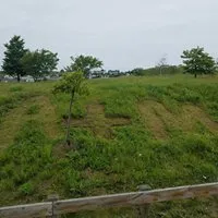 Top-rated outdoor landscaping in Roxbury, MA - A & M Home Services