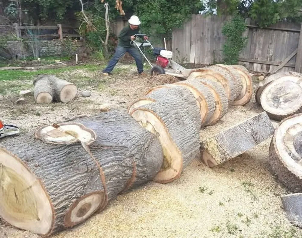 Expert yard cleanup service near you across Rancho Cordova, CA - A & M Landscape & Tree Service