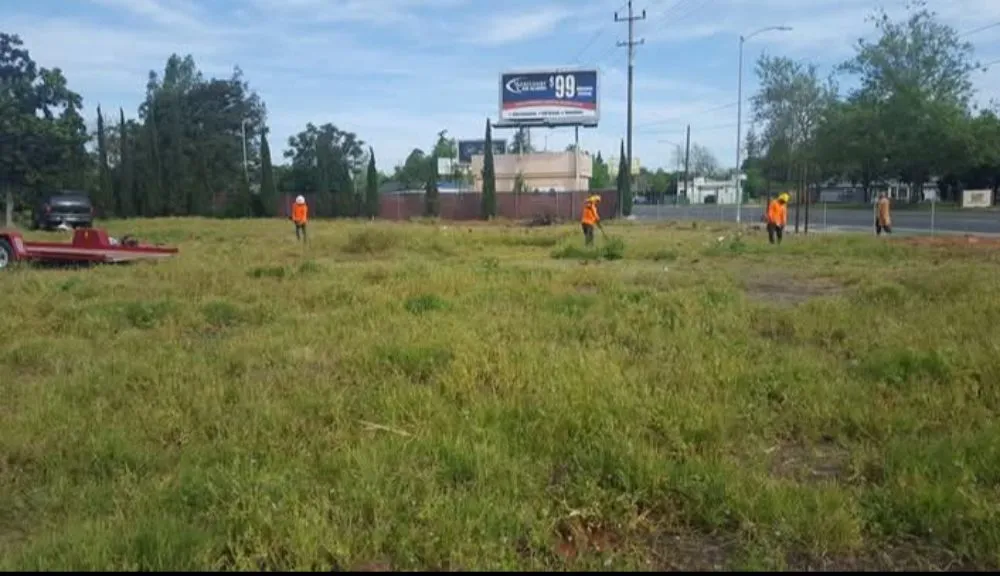 Local outdoor landscaping experts serving Rancho Cordova, CA - A & M Landscape & Tree Service