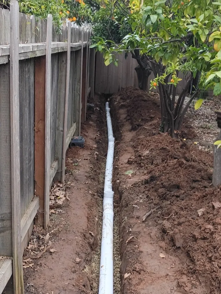 Affordable yard maintenance in Rancho Cordova, CA by A & M Landscape & Tree Service