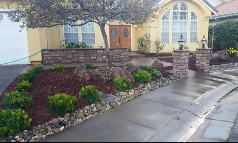 Reliable yard cleanup service in Rancho Cordova, CA - A & M Landscape & Tree Service