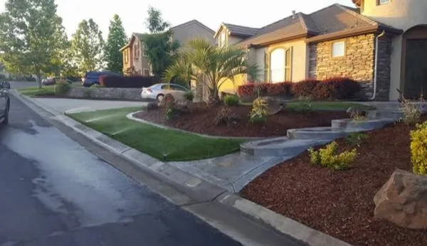 A & M Landscape & Tree Service