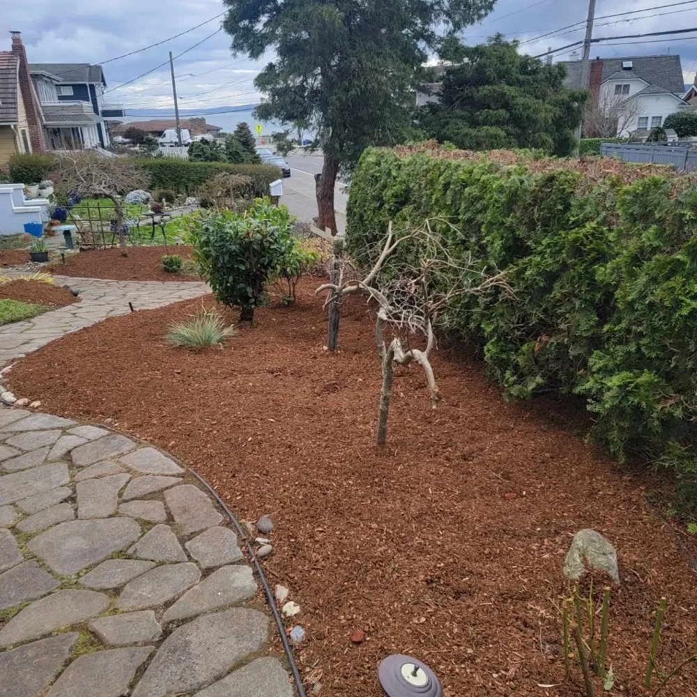 Reliable residential landscaping experts serving Federal Way, WA - A & M Landscape