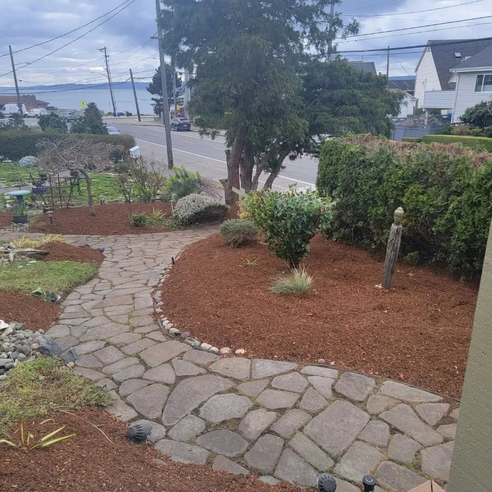 Custom lawn care service in Federal Way, WA - A & M Landscape