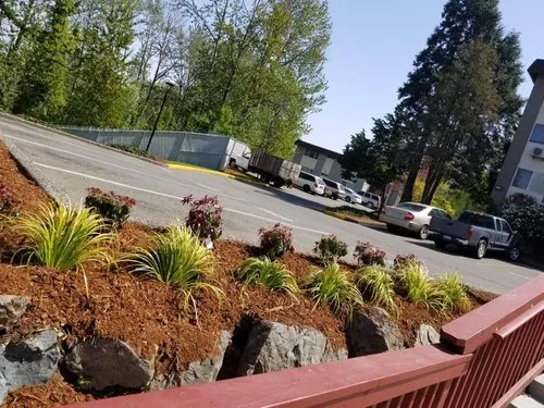 Top-rated residential landscaping in Federal Way, WA by A & M Landscape
