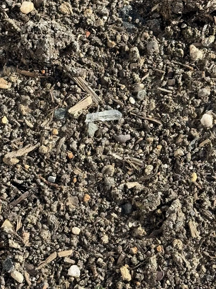 Custom yard cleanup service in Middle River, MD - A & M Landscape Supply