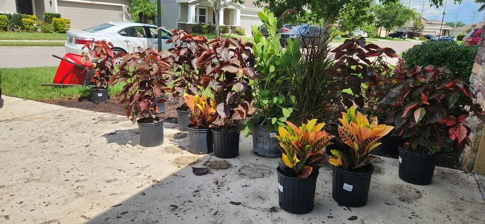 Professional lawn mowing service in Sarasota, FL - A & M Landscaping And Design