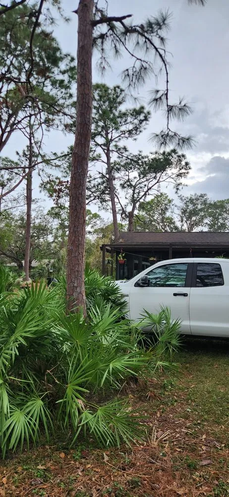 Affordable outdoor landscaping for outdoor upgrades in Sarasota, FL by A & M Landscaping And Design