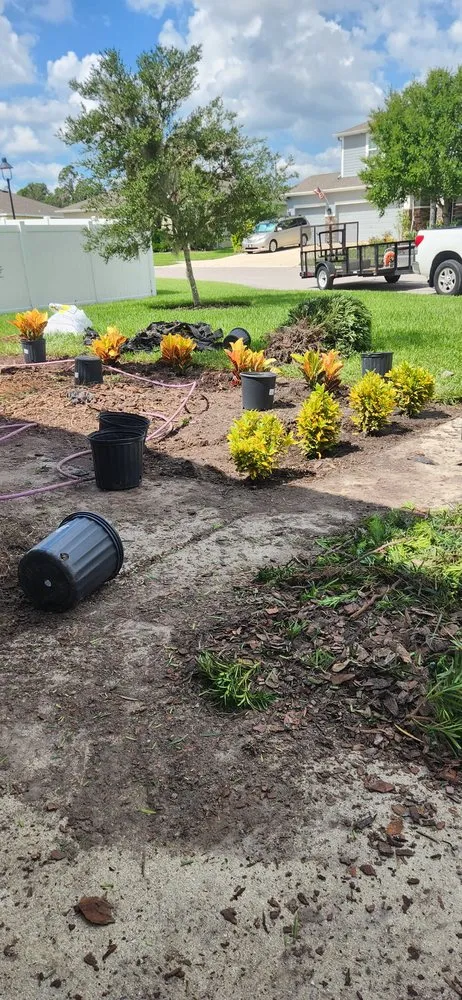 Top-rated landscaping services in Sarasota, FL by A & M Landscaping And Design