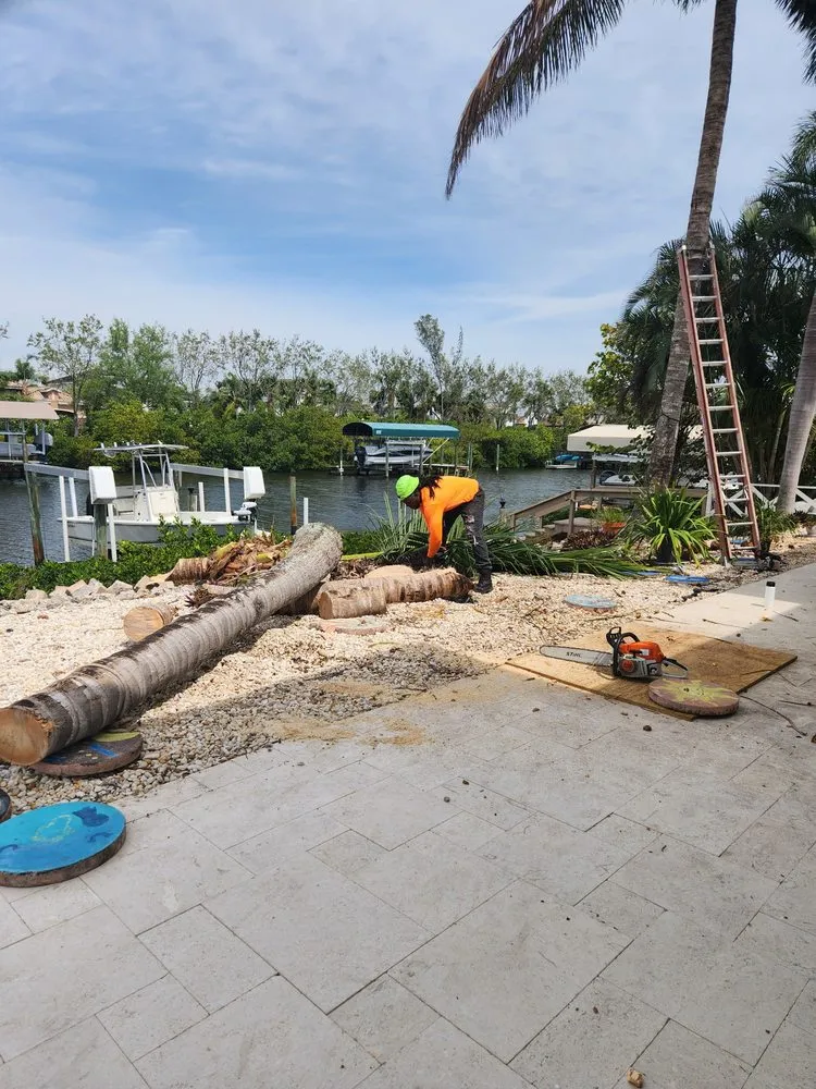 Top-rated residential landscaping in Sarasota, FL by A & M Landscaping And Design