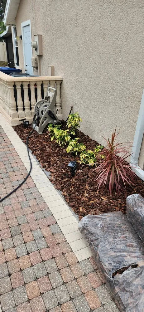 Reliable yard cleanup service for outdoor upgrades across Sarasota, FL - A & M Landscaping And Design