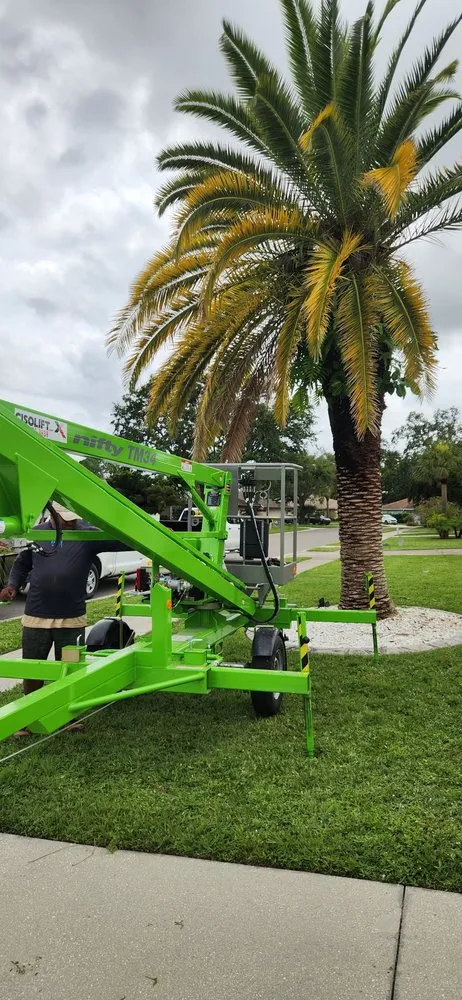 Professional outdoor landscaping in Sarasota, FL - A & M Landscaping And Design