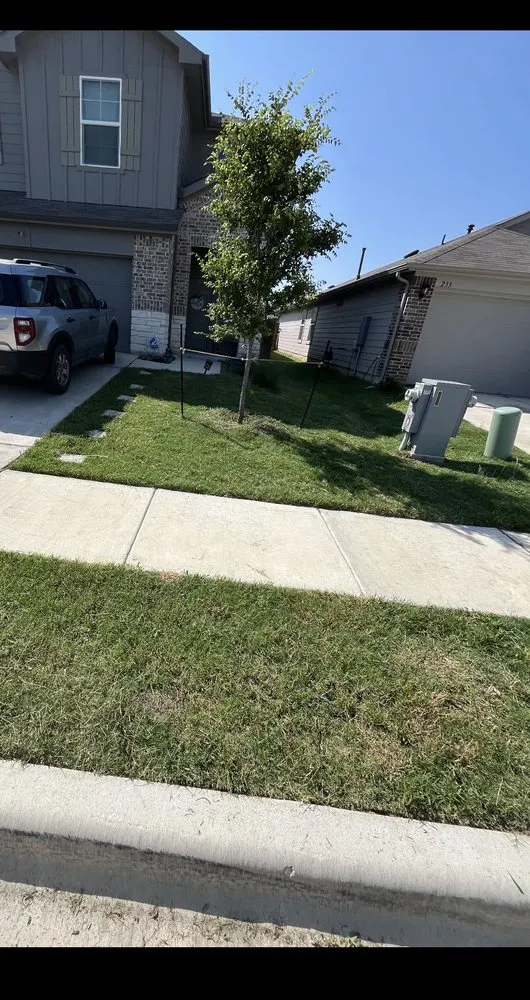 Professional landscape design experts serving Buda, TX - A & M Landscaping