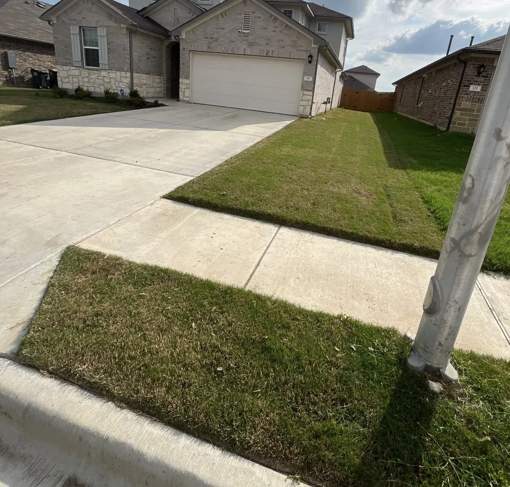 Professional landscape installation for beautiful yards across Buda, TX - A & M Landscaping