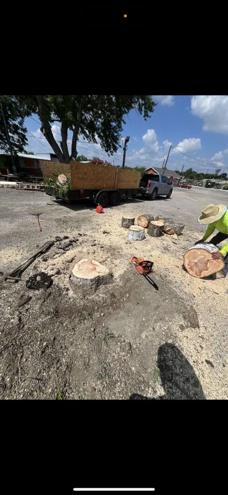 Reliable garden landscaping for year-round maintenance in Buda, TX by A & M Landscaping