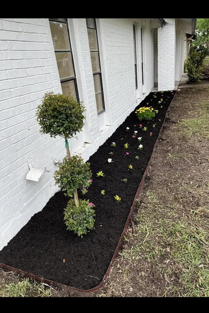 Top-rated landscape design in Buda, TX by A & M Landscaping