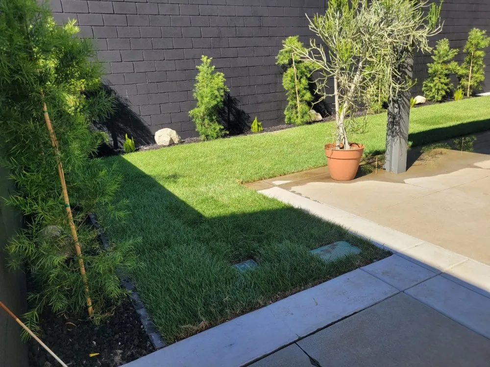 Local landscape design experts serving Rialto, CA - A & M landscaping