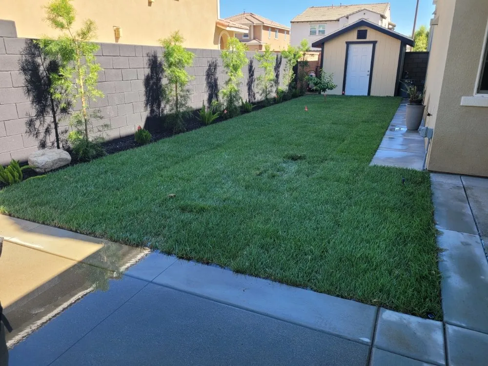 Expert yard cleanup service for homes across Rialto, CA - A & M landscaping