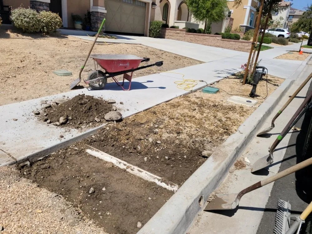 Local residential landscaping in Rialto, CA by A & M landscaping