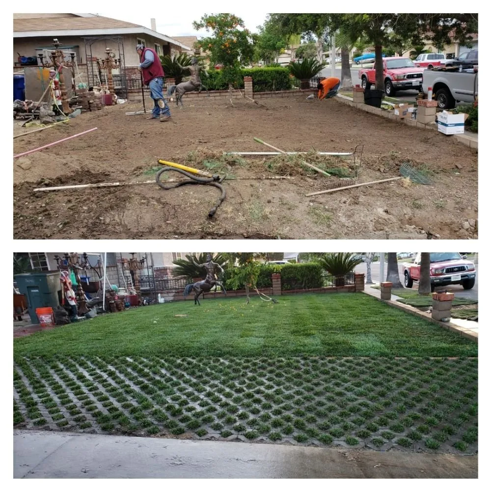 Affordable yard cleanup service experts serving Rialto, CA - A & M landscaping