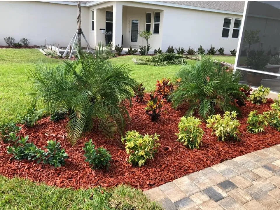 Local yard cleanup service for outdoor upgrades in Vero Beach, FL by A & M Landscaping