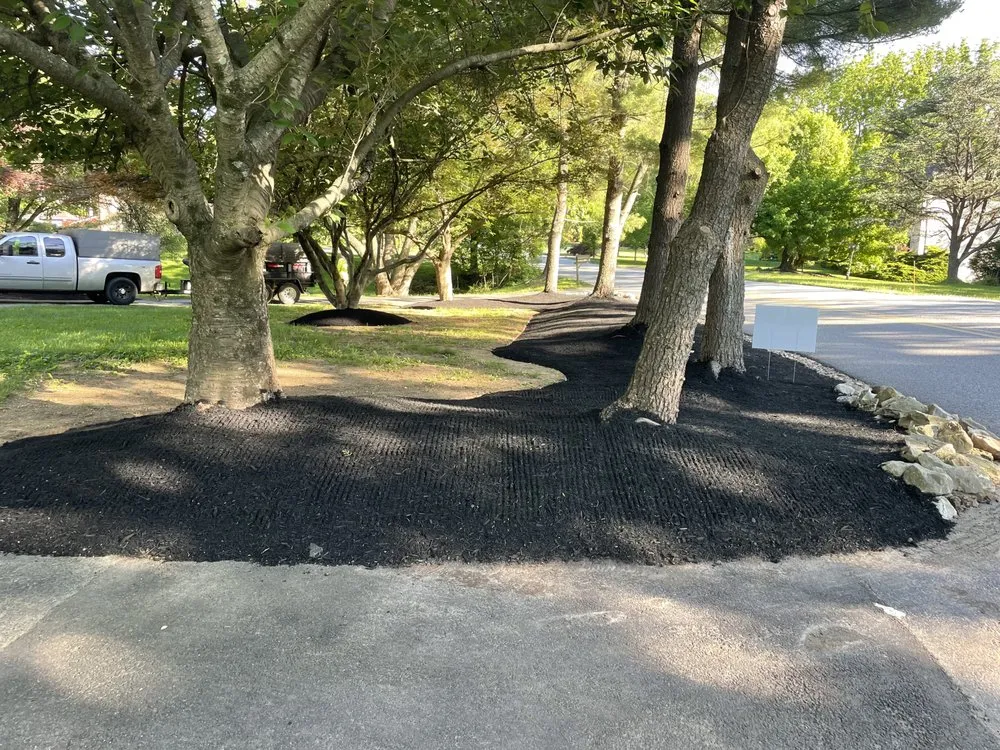 Professional lawn mowing service for outdoor upgrades across King of Prussia, PA - A & M Lawn Care Service