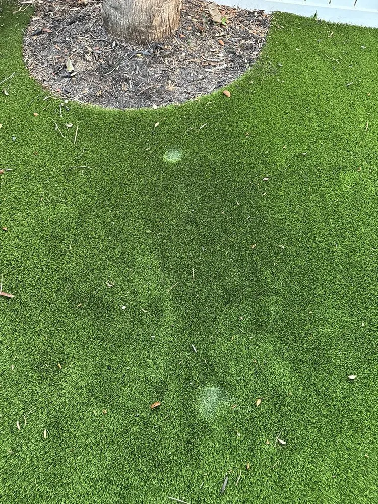 Local landscape installation experts serving Bunnell, FL - A & M Tree Service & Landscaping