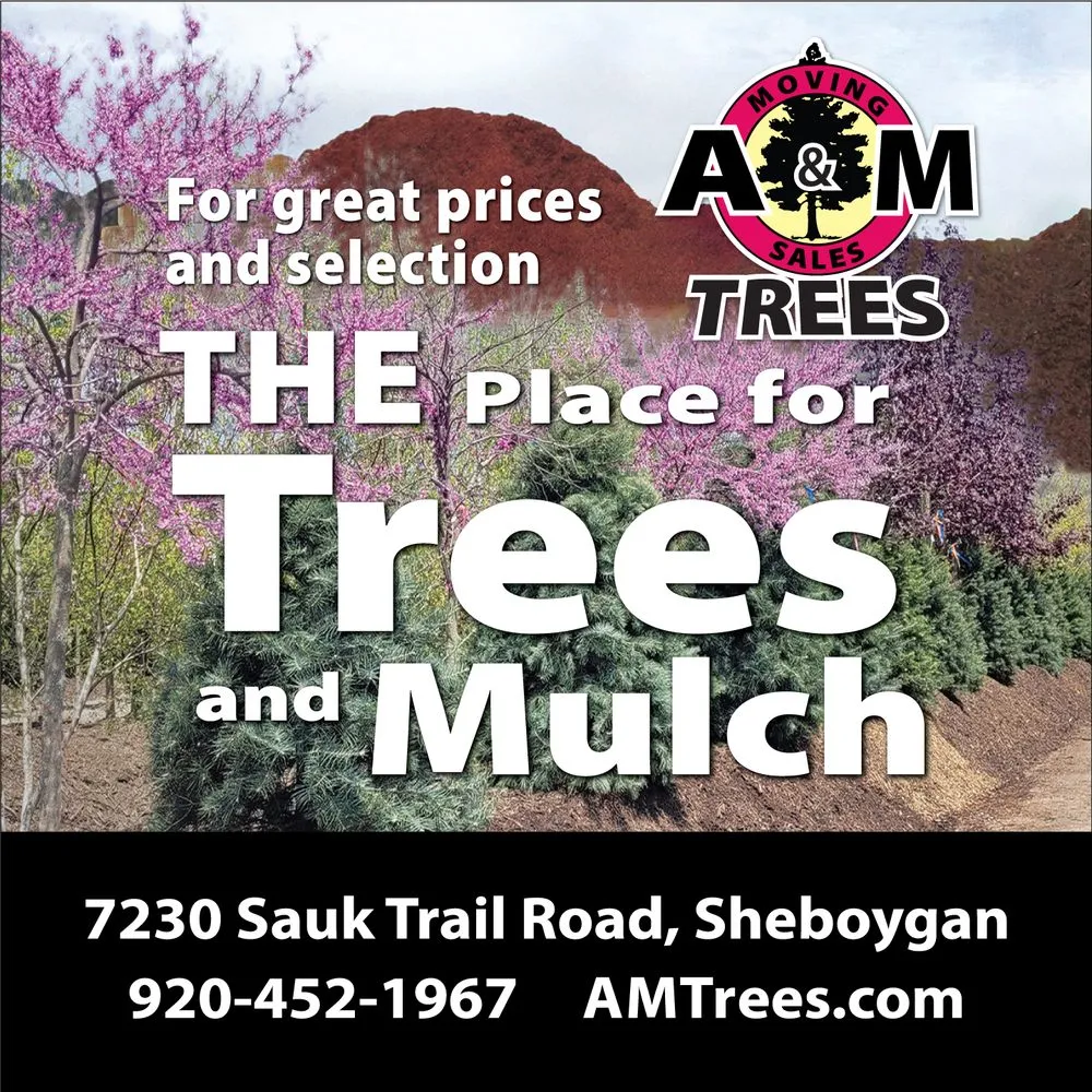 Reliable landscape installation in Sheboygan, WI by A & M Trees