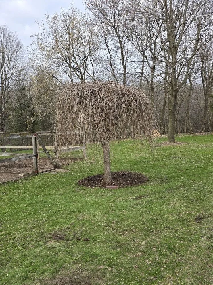 Top-rated garden landscaping experts serving Sheboygan, WI - A & M Trees