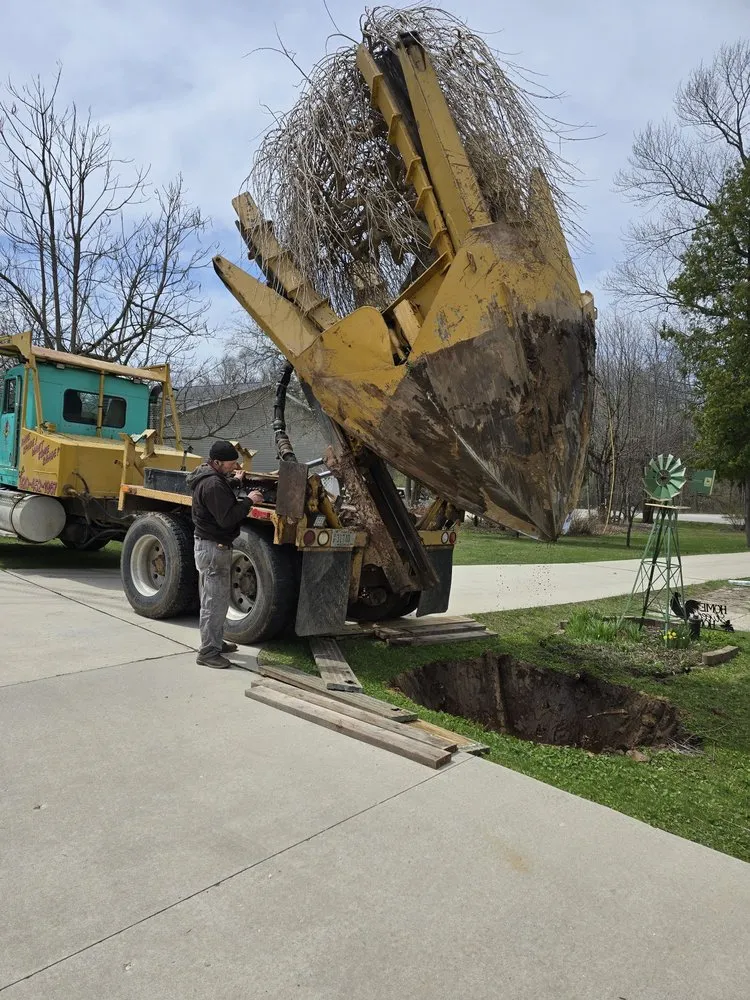 Expert outdoor landscaping in Sheboygan, WI by A & M Trees